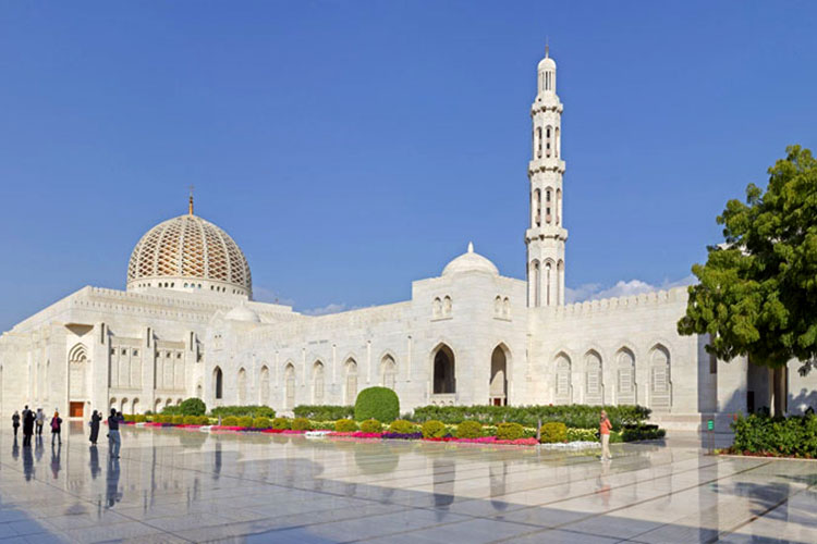 Direct Line Tourism Oman